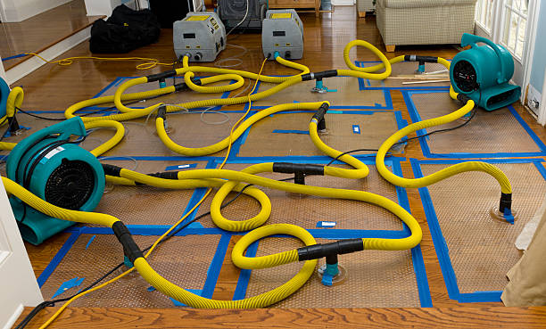 Professional Crawl Space Water Removal technician working in Lewistown, IL
